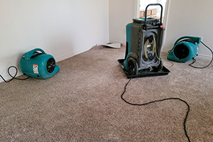 water-damage-dryout